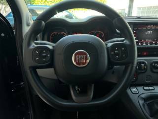 FIAT Panda usata 33