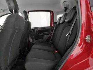 FIAT Panda Cross usata, con Vetri oscurati