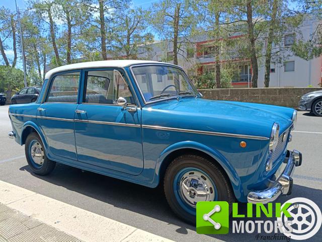 FIAT 1100 usata 17