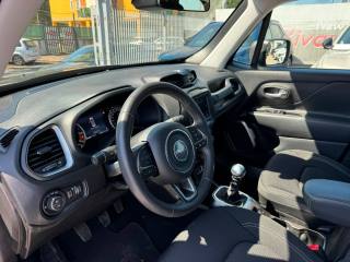 JEEP Renegade usata, con Cruise Control