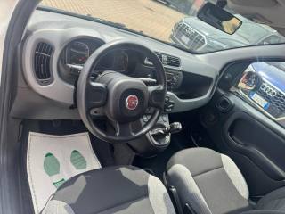 FIAT Panda usata, con ESP