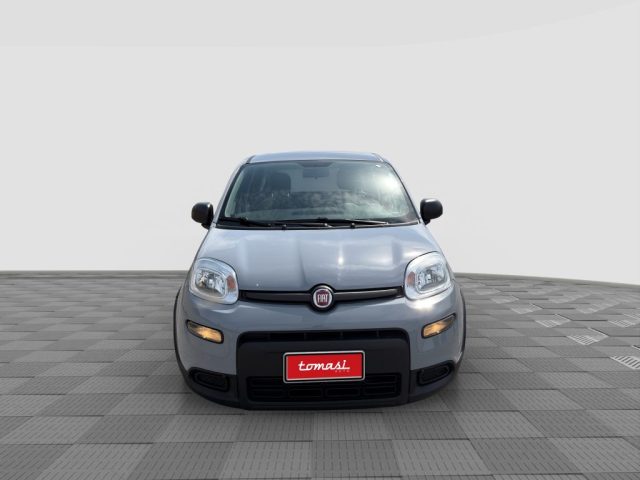 FIAT Panda usata 7