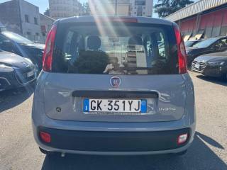FIAT Panda usata, con Antifurto