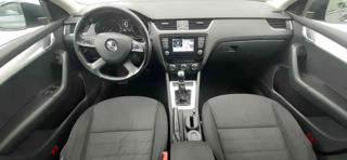 SKODA Octavia usata 19