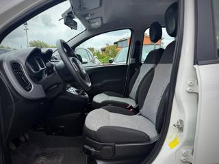 FIAT Panda usata 25