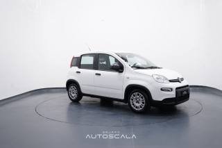 FIAT New Panda usata, con Climatizzatore