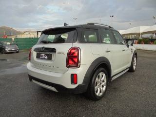 MINI Countryman usata, con Fendinebbia