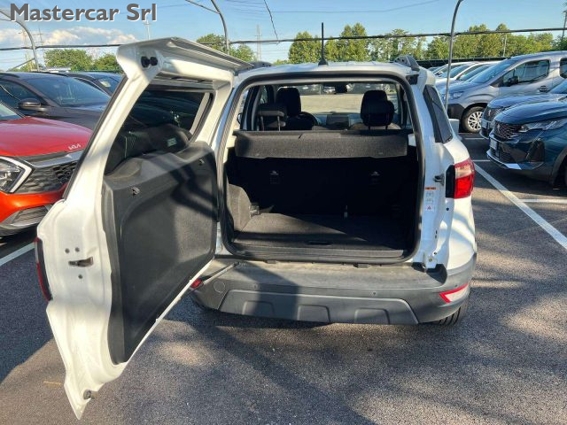 FORD EcoSport usata, con Volante in pelle