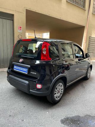 FIAT Panda usata, con Antifurto