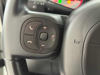FIAT Panda usata 10