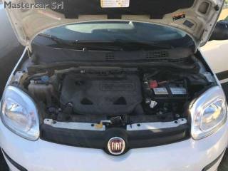 FIAT Panda usata, con Controllo trazione
