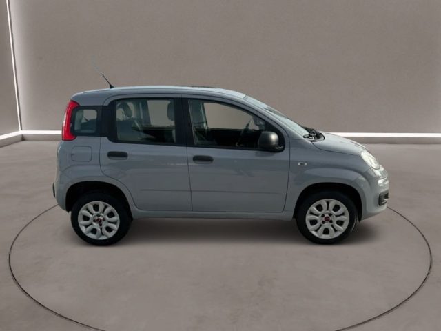 FIAT Panda usata, con Controllo trazione