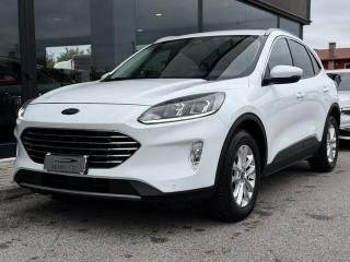 FORD Kuga 2.0 EcoBlue Hybrid 150 CV 2WD Titanium Business