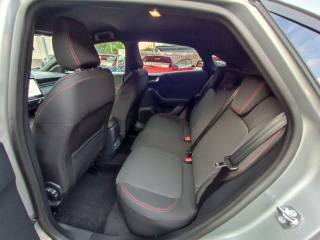 FORD Puma usata, con Cronologia tagliandi
