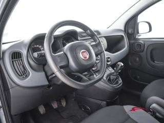 FIAT Panda usata 7