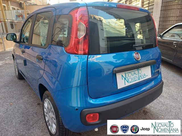 FIAT Panda usata, con Servosterzo