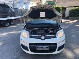 FIAT Panda usata 13