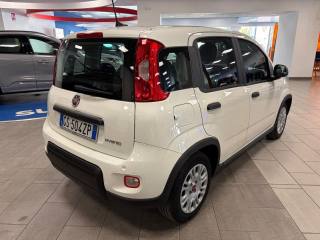 FIAT Panda usata, con Servosterzo