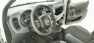 FIAT Panda usata 50