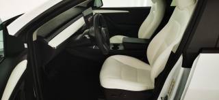 TESLA Model Y usata, con Cronologia tagliandi