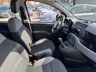 FIAT Panda Cross usata, con Climatizzatore