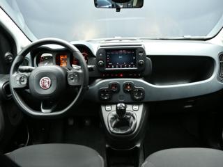 FIAT Panda Cross usata, con Fendinebbia