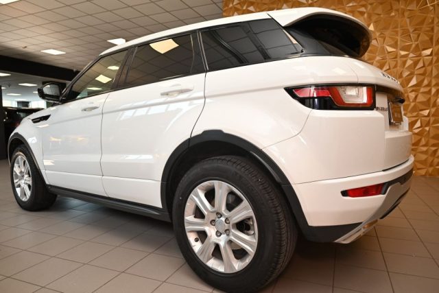 LAND ROVER Range Rover Evoque usata 65