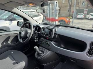 FIAT Panda usata, con Climatizzatore
