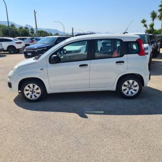 FIAT Panda usata, con Airbag