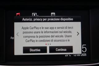 OPEL Grandland X usata, con Fendinebbia