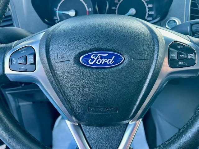 FORD EcoSport usata 19