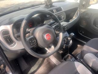 FIAT Panda usata, con Alzacristalli elettrici