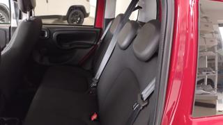 FIAT Panda Cross usata, con Immobilizzatore elettronico