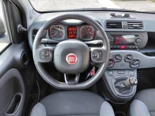 FIAT Panda usata, con ESP