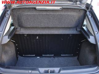 FIAT Punto usata 12
