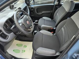 FIAT Panda usata, con Airbag testa