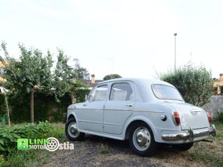 FIAT 1100 usata 28