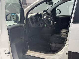 FIAT Panda Cross usata 18
