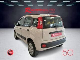 FIAT Panda usata 9
