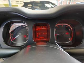 FIAT Panda usata, con Controllo vocale