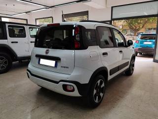 FIAT Panda Cross usata, con Chiusura centralizzata