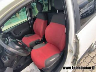 FIAT Panda usata 12