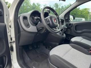 FIAT Panda usata, con Controllo automatico clima
