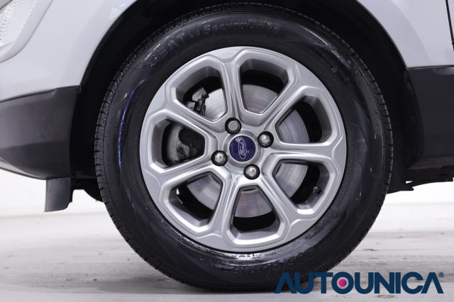 FORD EcoSport usata, con Fendinebbia