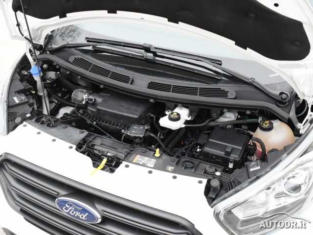 FORD Transit Custom usata 31