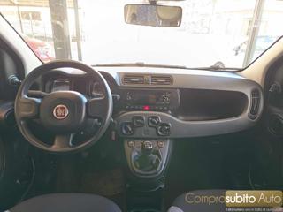 FIAT Panda usata, con Controllo trazione