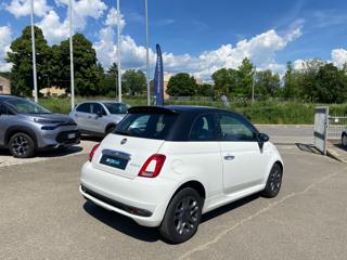 FIAT 500 usata 21