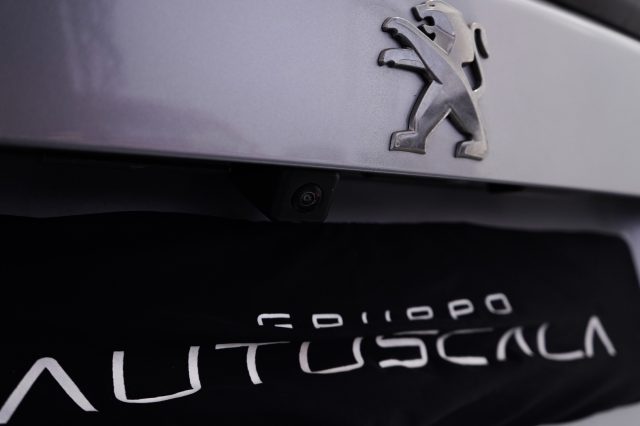 PEUGEOT 2008 usata, con Airbag testa