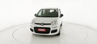 FIAT Panda usata 25