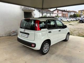 FIAT Panda usata, con Alzacristalli elettrici